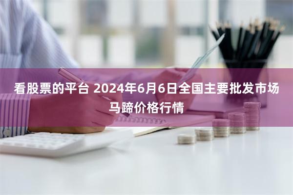 看股票的平台 2024年6月6日全国主要批发市场马蹄价格