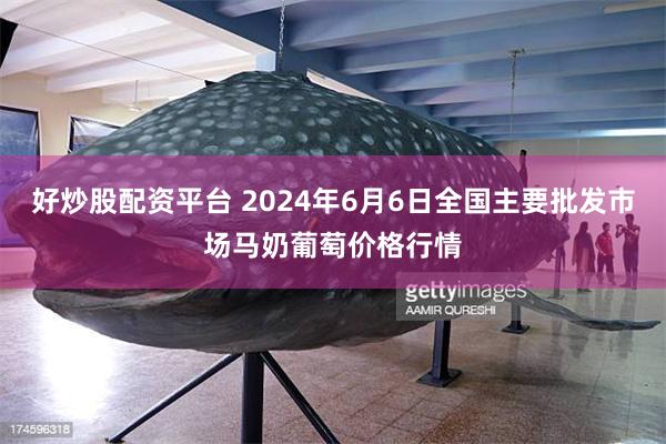 好炒股配资平台 2024年6月6日全国主要批发市场马奶葡萄价格行情