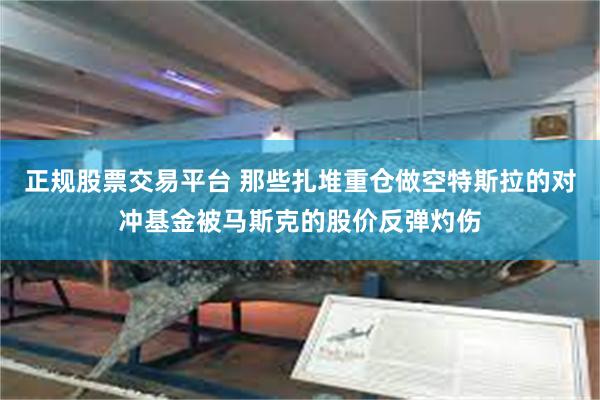 正规股票交易平台 那些扎堆重仓做空特斯拉的对冲基金被马斯