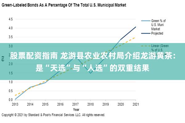 股票配资指南 龙游县农业农村局介绍龙游黄茶：是“天选”与“人选”的双重结果