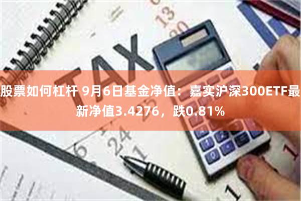 股票如何杠杆 9月6日基金净值：嘉实沪深300ETF最新净值3.4276，跌0.81%