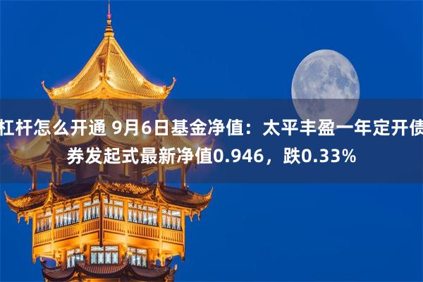 杠杆怎么开通 9月6日基金净值：太平丰盈一年定开债券发起