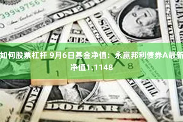 如何股票杠杆 9月6日基金净值：永赢邦利债券A最新净值1.1148