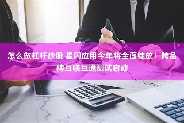 怎么做杠杆炒股 星闪应用今年将全面绽放！跨品牌互联互通测试启动