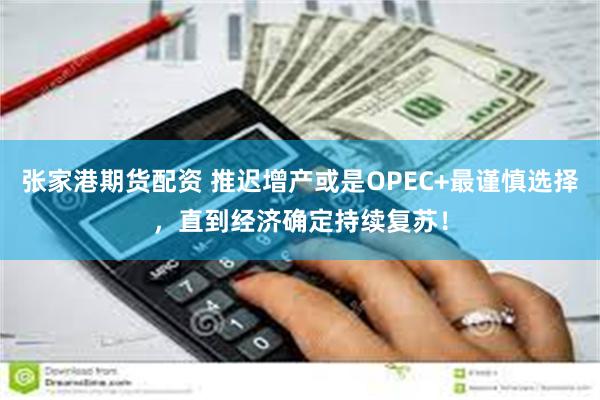 张家港期货配资 推迟增产或是OPEC+最谨慎选择，直到经济确