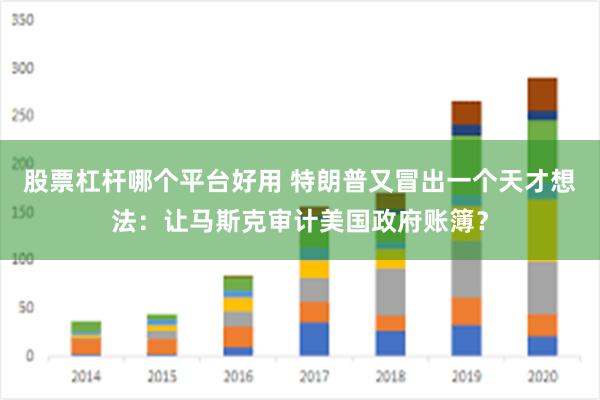 股票杠杆哪个平台好用 特朗普又冒出一个天才想法：让马斯克审计