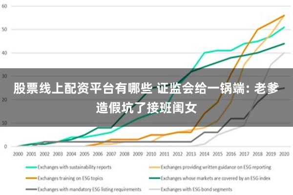 股票线上配资平台有哪些 证监会给一锅端: 老爹造假坑了接班闺女