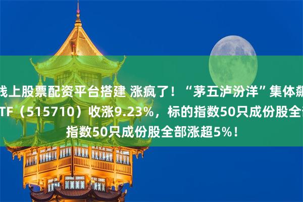 线上股票配资平台搭建 涨疯了！“茅五泸汾洋”集体飙升，食