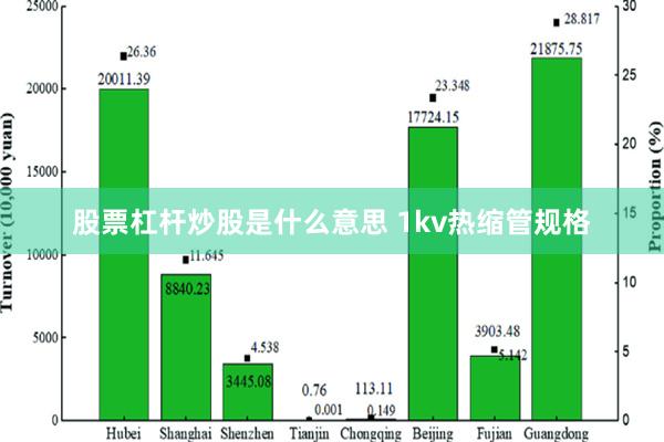 股票杠杆炒股是什么意思 1kv热缩管规格