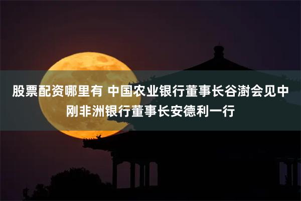 股票配资哪里有 中国农业银行董事长谷澍会见中刚非洲银行董