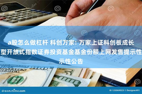 a股怎么做杠杆 科创万家: 万家上证科创板成长交易型开放