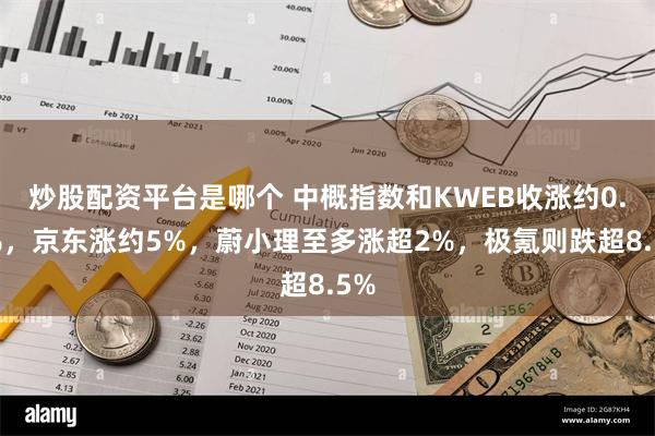 炒股配资平台是哪个 中概指数和KWEB收涨约0.8%，京东涨约5%，蔚小理至多涨超2%，极氪则跌超8.5%