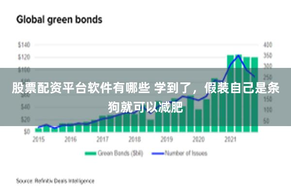 股票配资平台软件有哪些 学到了，假装自己是条狗就可以减肥