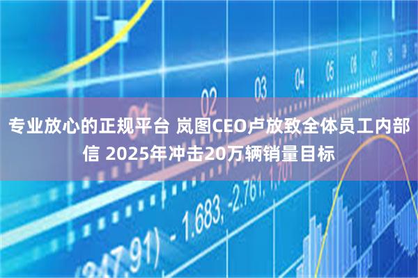 专业放心的正规平台 岚图CEO卢放致全体员工内部信 2025年冲击20万辆销量目标