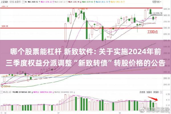 哪个股票能杠杆 新致软件: 关于实施2024年前三季度权益分派调整“新致转债”转股价格的公告