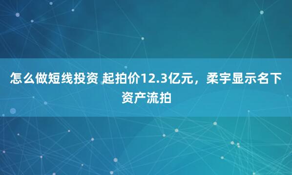 怎么做短线投资 起拍价12.3亿元，柔宇显示名下资产流拍