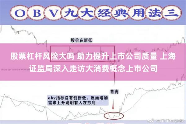 股票杠杆风险大吗 助力提升上市公司质量 上海证监局深入走访大消费概念上市公司