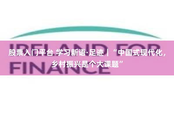 股票入门平台 学习新语·足迹｜“中国式现代化，乡村振兴是个大课题”