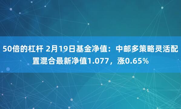 50倍的杠杆 2月19日基金净值：中邮多策略灵活配置混合最新净值1.077，涨0.65%