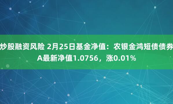 炒股融资风险 2月25日基金净值：农银金鸿短债债券A最新净值1.0756，涨0.01%