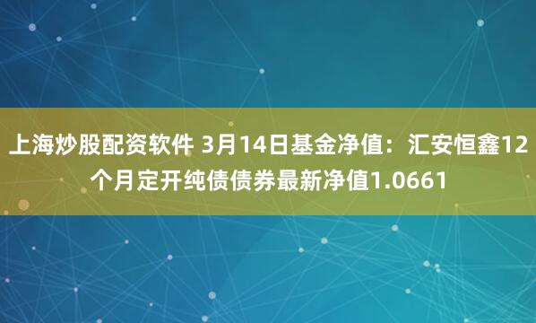 上海炒股配资软件 3月14日基金净值：汇安恒鑫12个月定开纯债债券最新净值1.0661