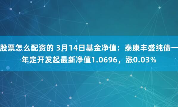 股票怎么配资的 3月14日基金净值：泰康丰盛纯债一年定开发起最新净值1.0696，涨0.03%